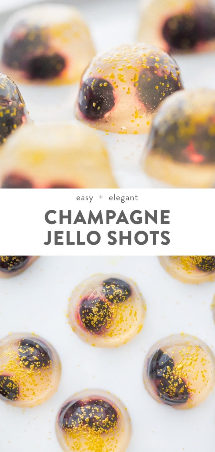 Champagne Jello Shots with Blueberries Pinterest image
