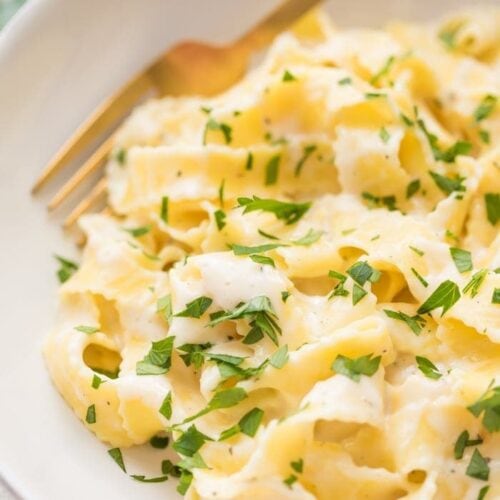 Cottage Cheese Alfredo 40 Aprons