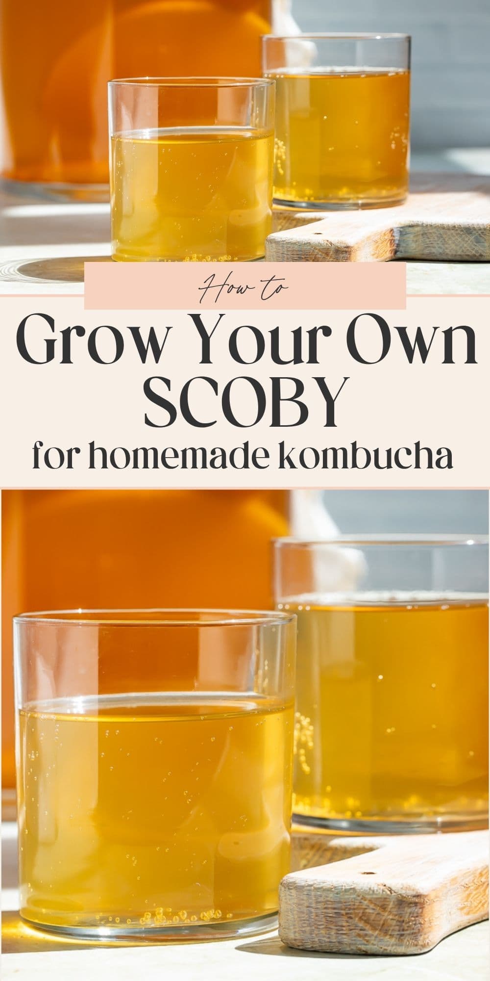 Close ups of glasses of kombucha with the brewing jar containing a SCOBY in the background. A banner divides the two images with Pinterest-optimized text.