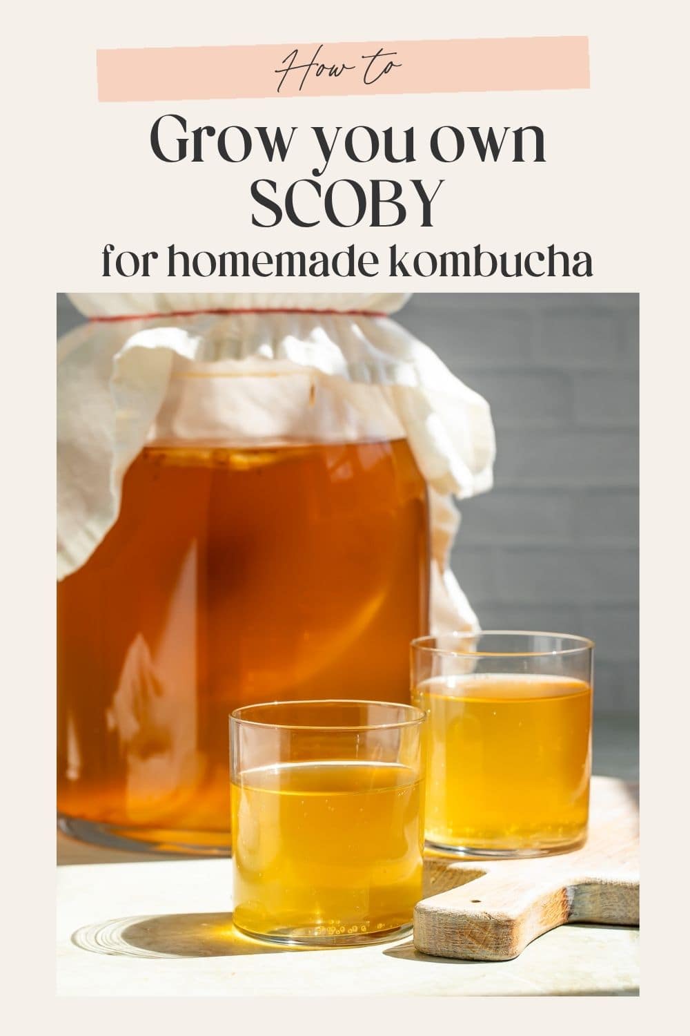 Jar of kombucha topped with cheesecloth containing a SCOBY, with two glasses of kombucha in the foreground. There is a frame on the image with Pinterest-optimized text.