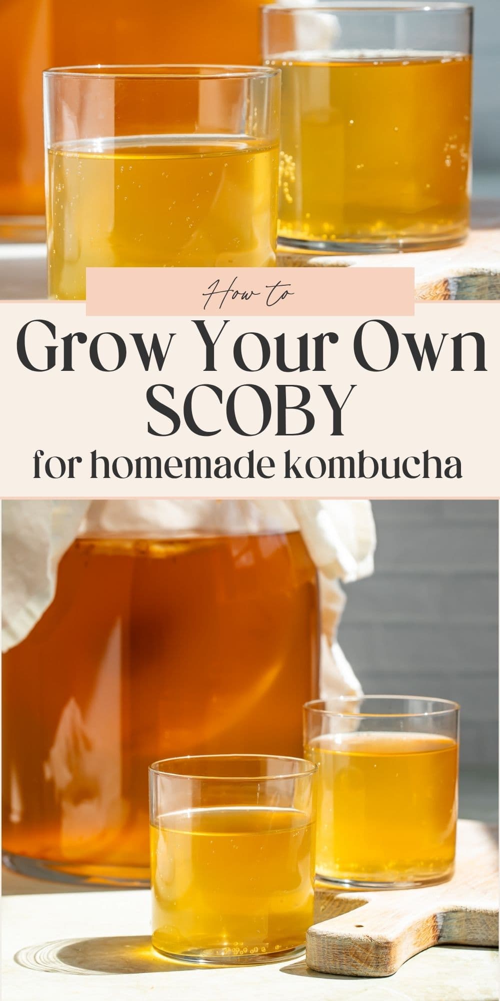 Jar of kombucha with glasses in the foreground. A banner divides the two images with Pinterest-optimised text.