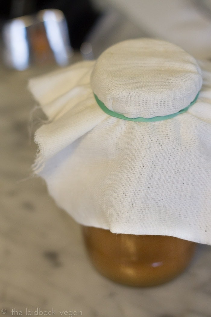How to Grow Your Own SCOBY for Kombucha // @ the Laidback Vegan