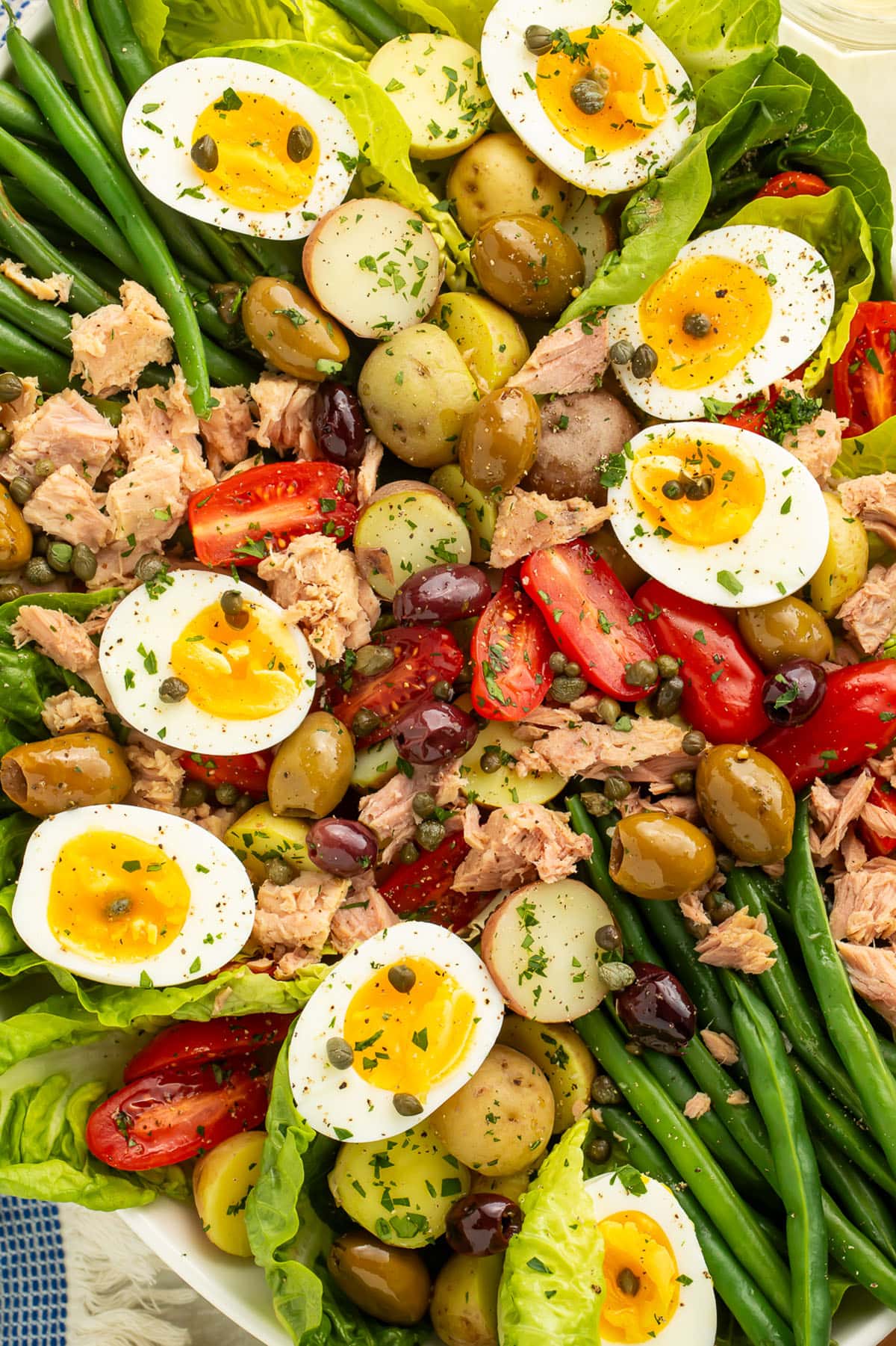 A close-up of Nicoise salad with potatoes, green beans, eggs, lettuce, olives, capers, tomatoes, and tuna.
