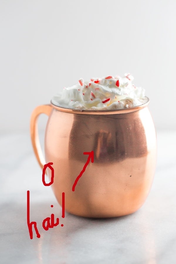 Spiked peppermint hot chocolate. So rich and creamy with the perfect peppermint kick.. truly a merry Christmas! // 40 Aprons