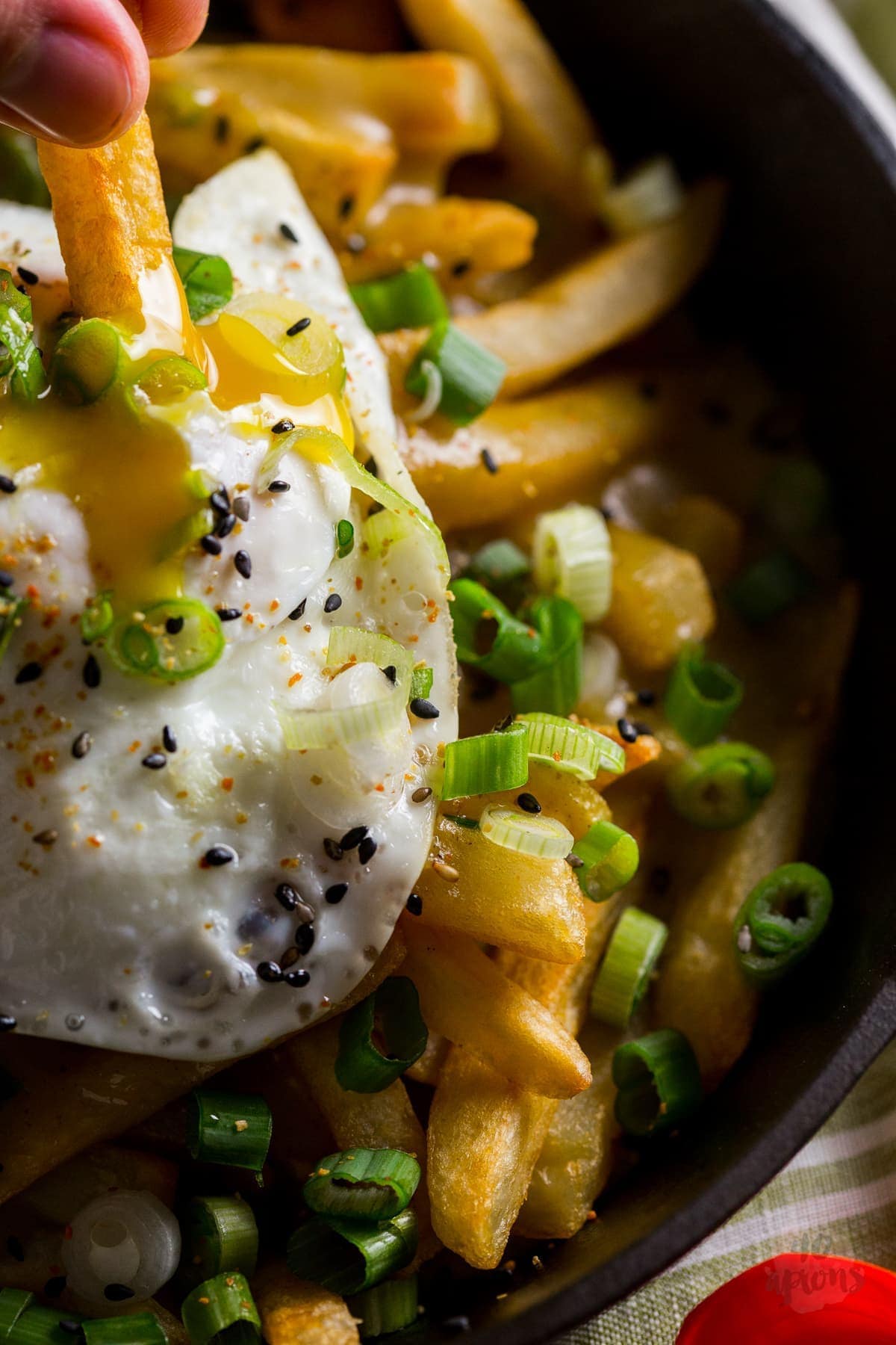 Japanese curry fries. Definition of epic. Rich, spiced Japanese curry sauce smothers crispy fries, topped with an egg over easy. Mama. // 40 Aprons