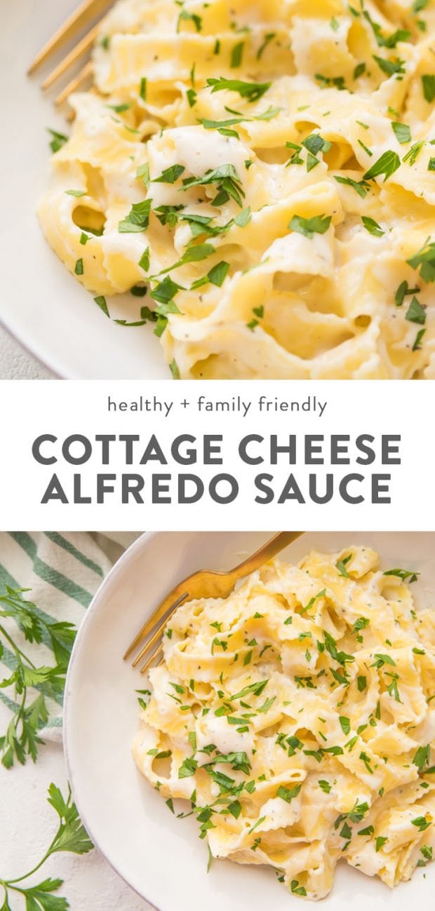 Cottage Cheese Alfredo 40 Aprons