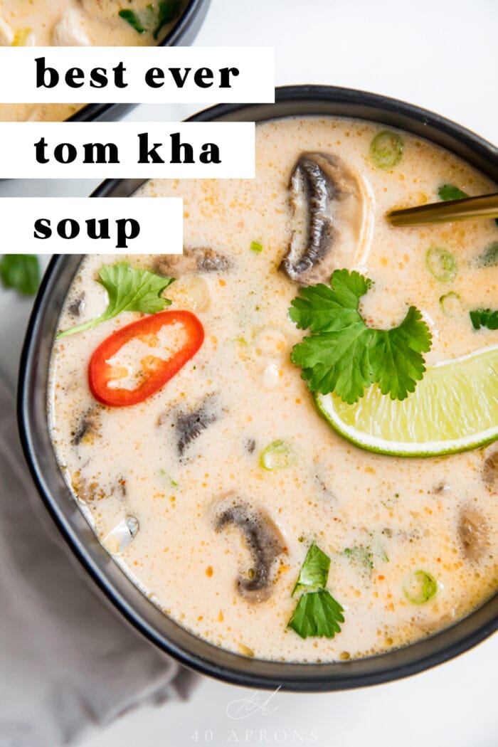 Pin graphics for tom kha soup