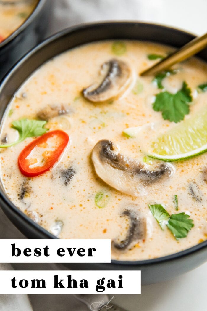 Pin graphic for tom kha soup