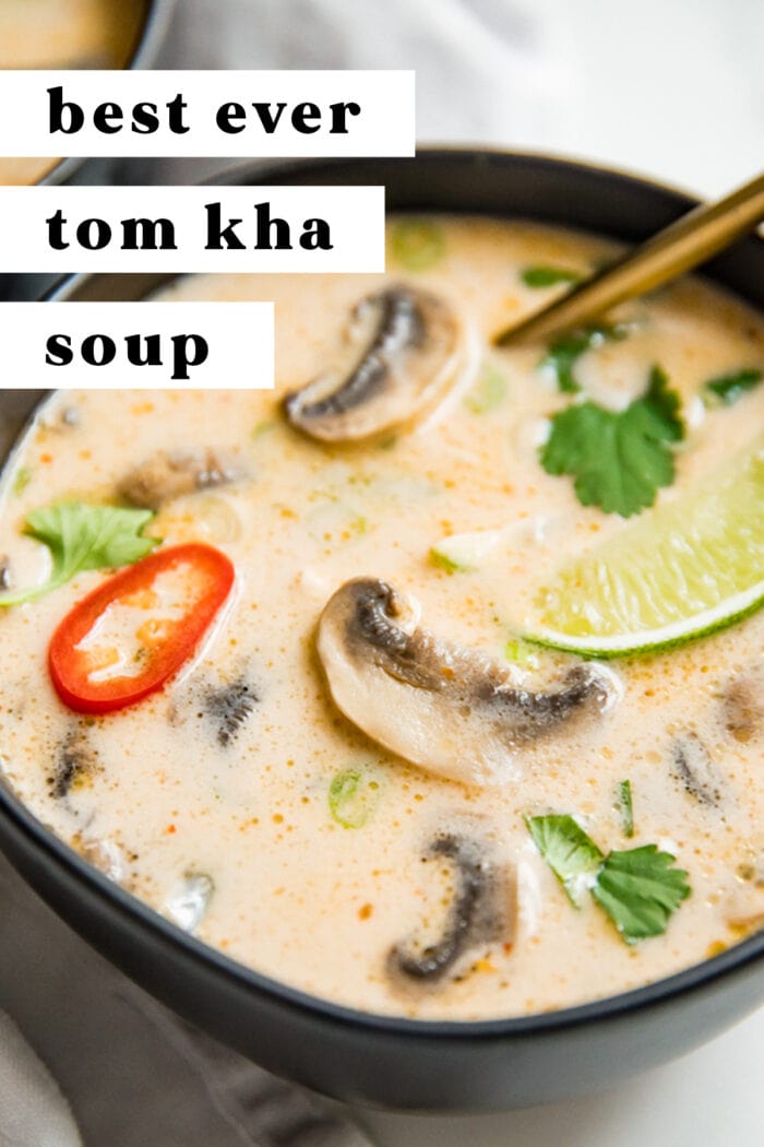 Pin graphic for tom kha soup