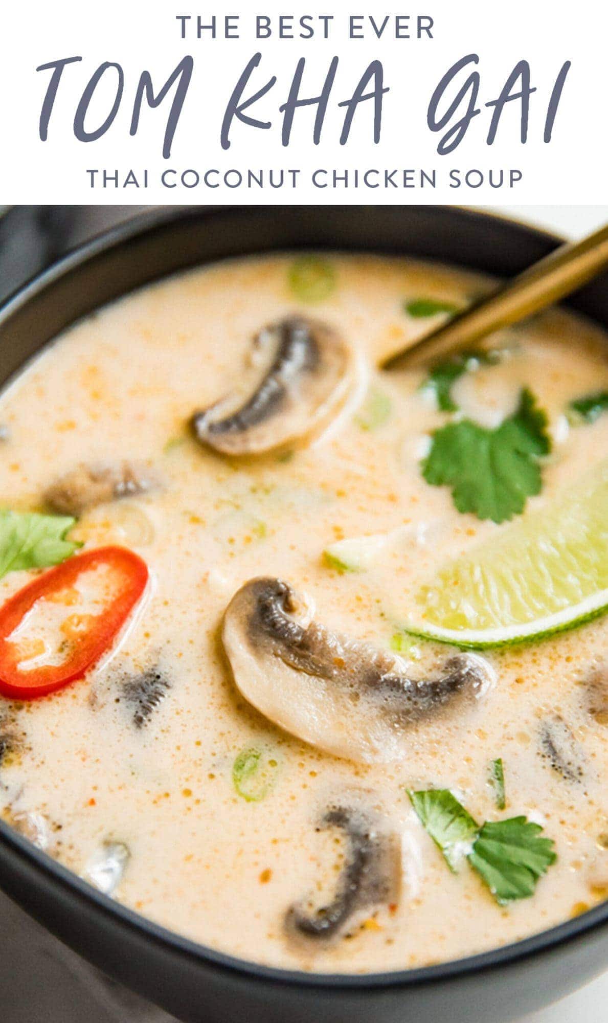 Best Ever Tom Kha Gai Soup (Thai Coconut Chicken Soup) - 40 Aprons