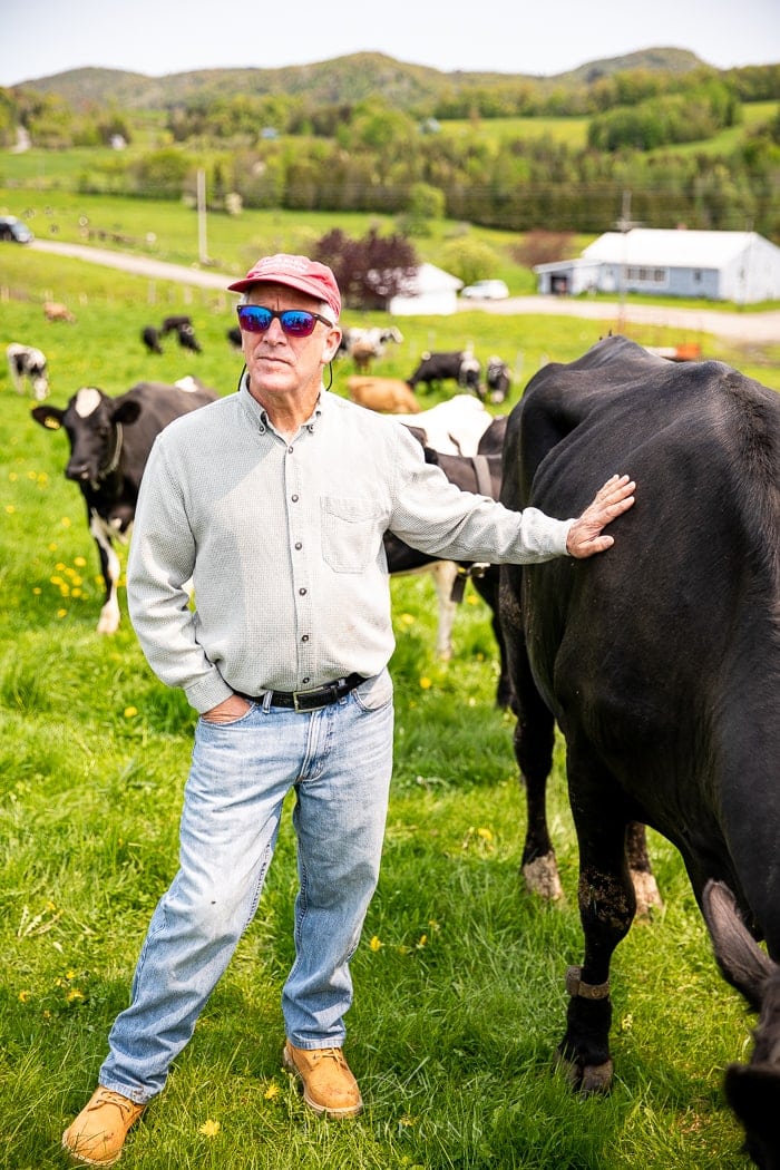 Gary Hirshberg with a dairy cow on a field