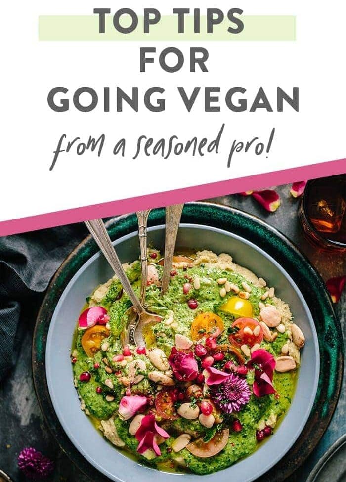 Tips for Going Vegan Pinterest graphic