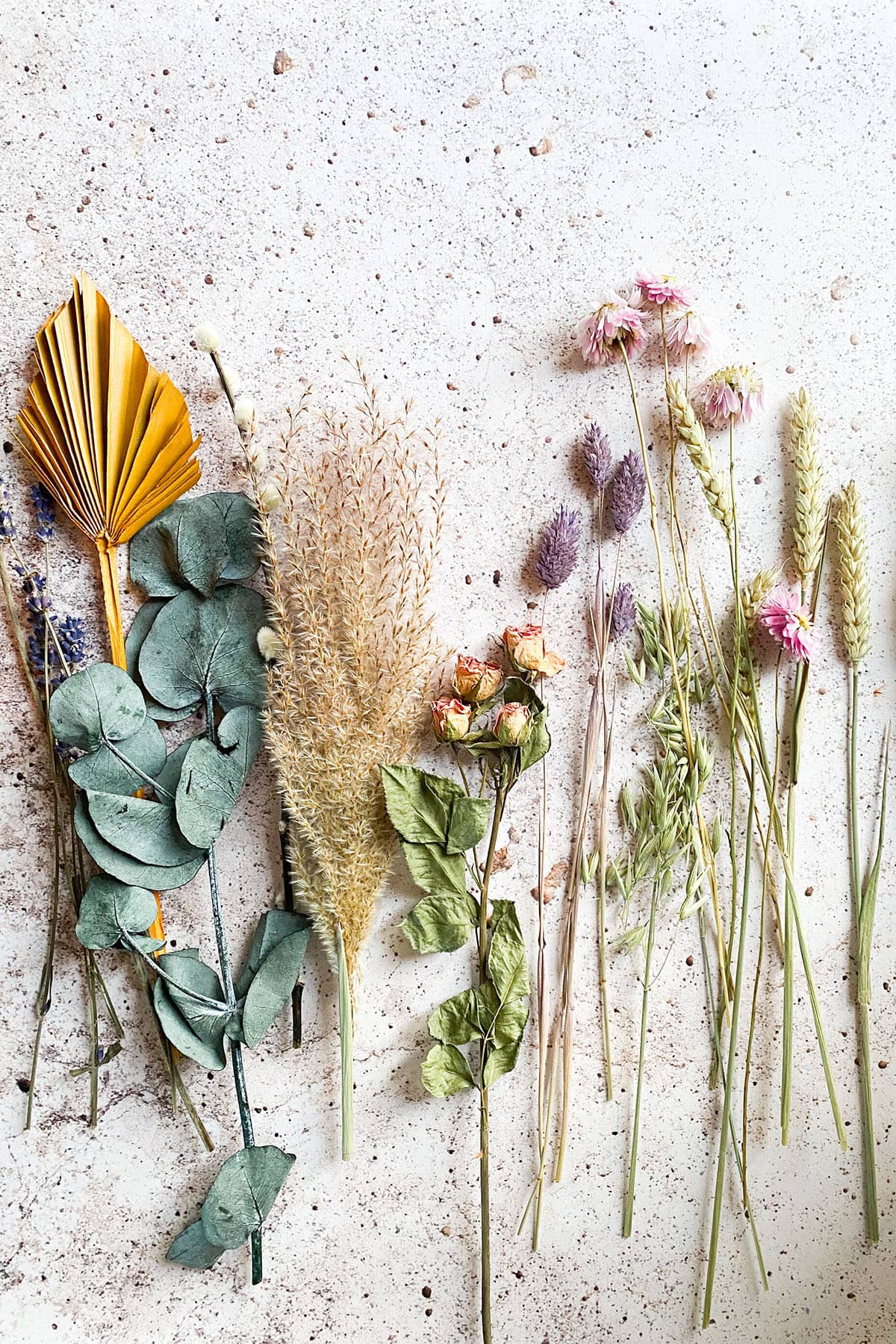 Image of fresh herbs and plants on a neutral table.