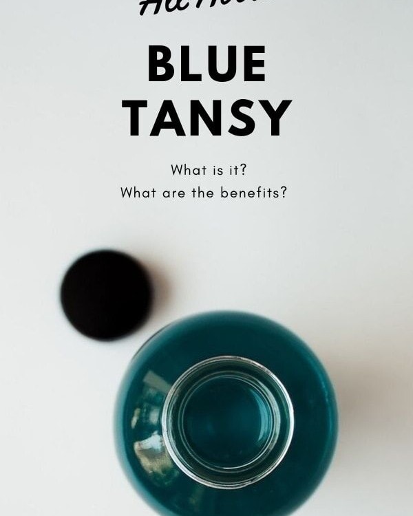 All About Blue Tansy Blog Graphic