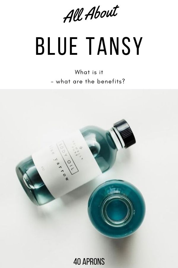 All About Blue Tansy Pinterest Graphic