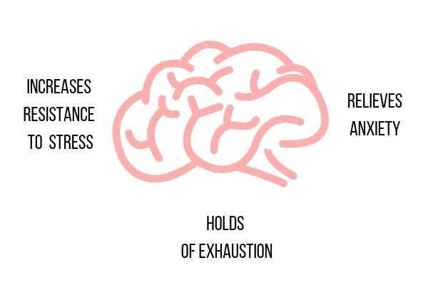 a graphic demonstrating the effect of adaptogens on the brain and the stress response system