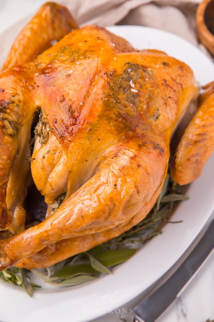 How to Cook a Turkey Perfectly (with Gravy) - 40 Aprons