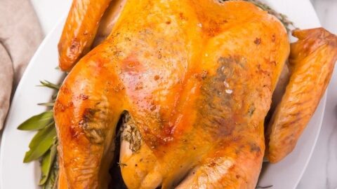 Quick Turkey Brine - 40 Aprons