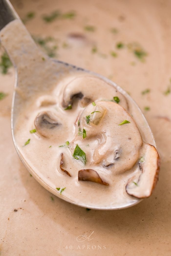 Cream of mushroom soup on a spoon