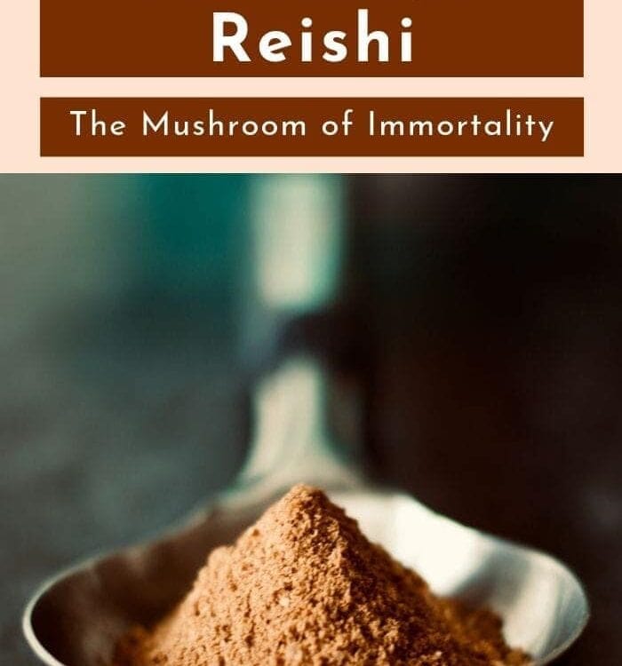 pinterest image of reishi mushrooms for healthy