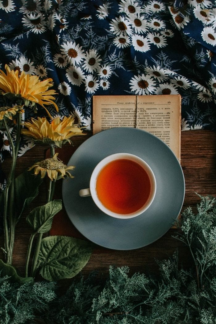 overhead shot of a cup of red reishi tea surrounded with some medicinal herbs and an opened book on the side 