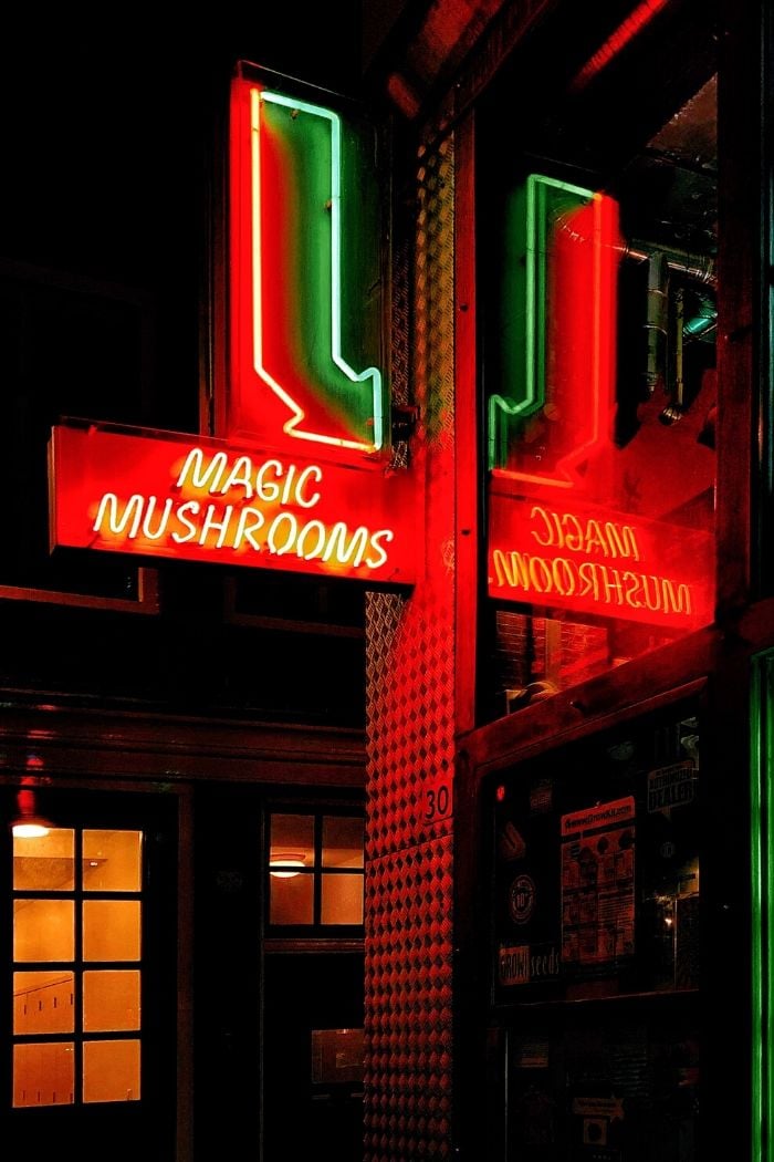 neon sign advertising a shop selling magic mushrooms 