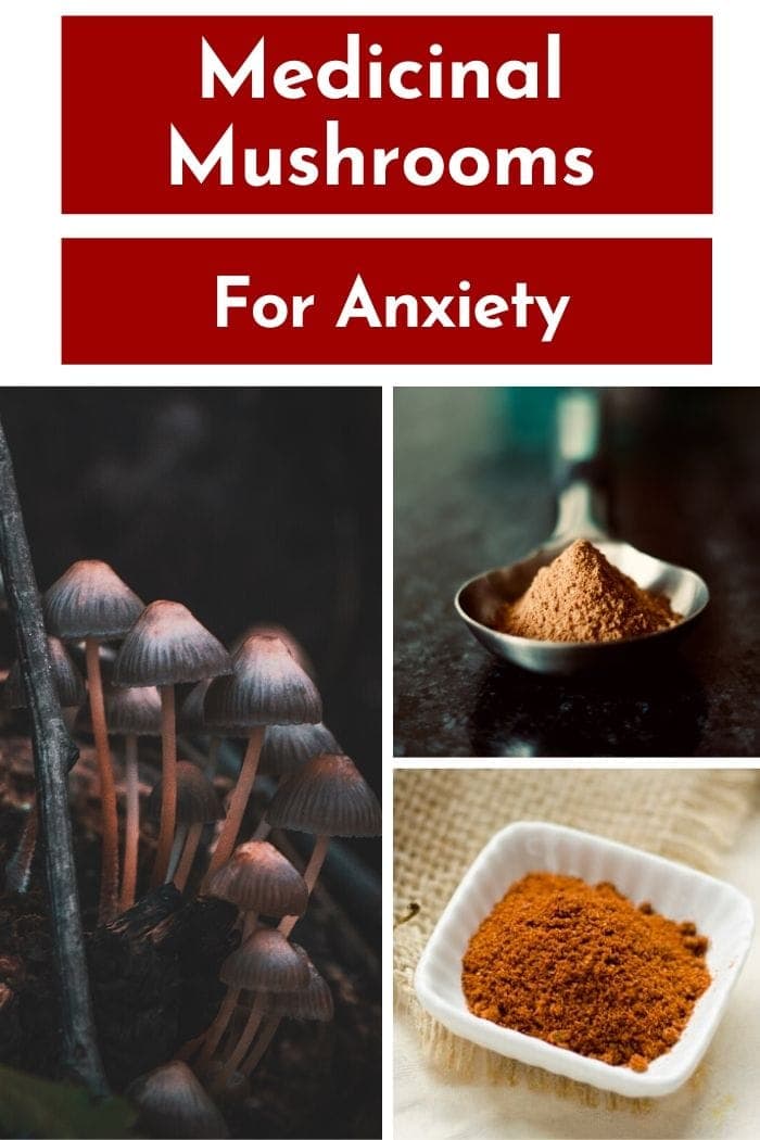 A picture collage of different medicinal mushroom powders for anxiety 
