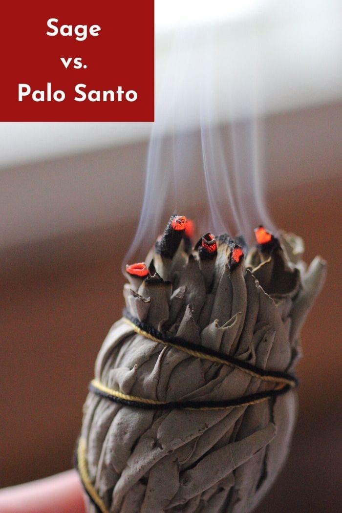 a bundle of white sage leaves used for smudging 