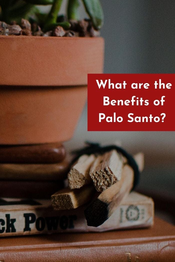 The Benefits Of Palo Santo, Healing Wood, According To Experts