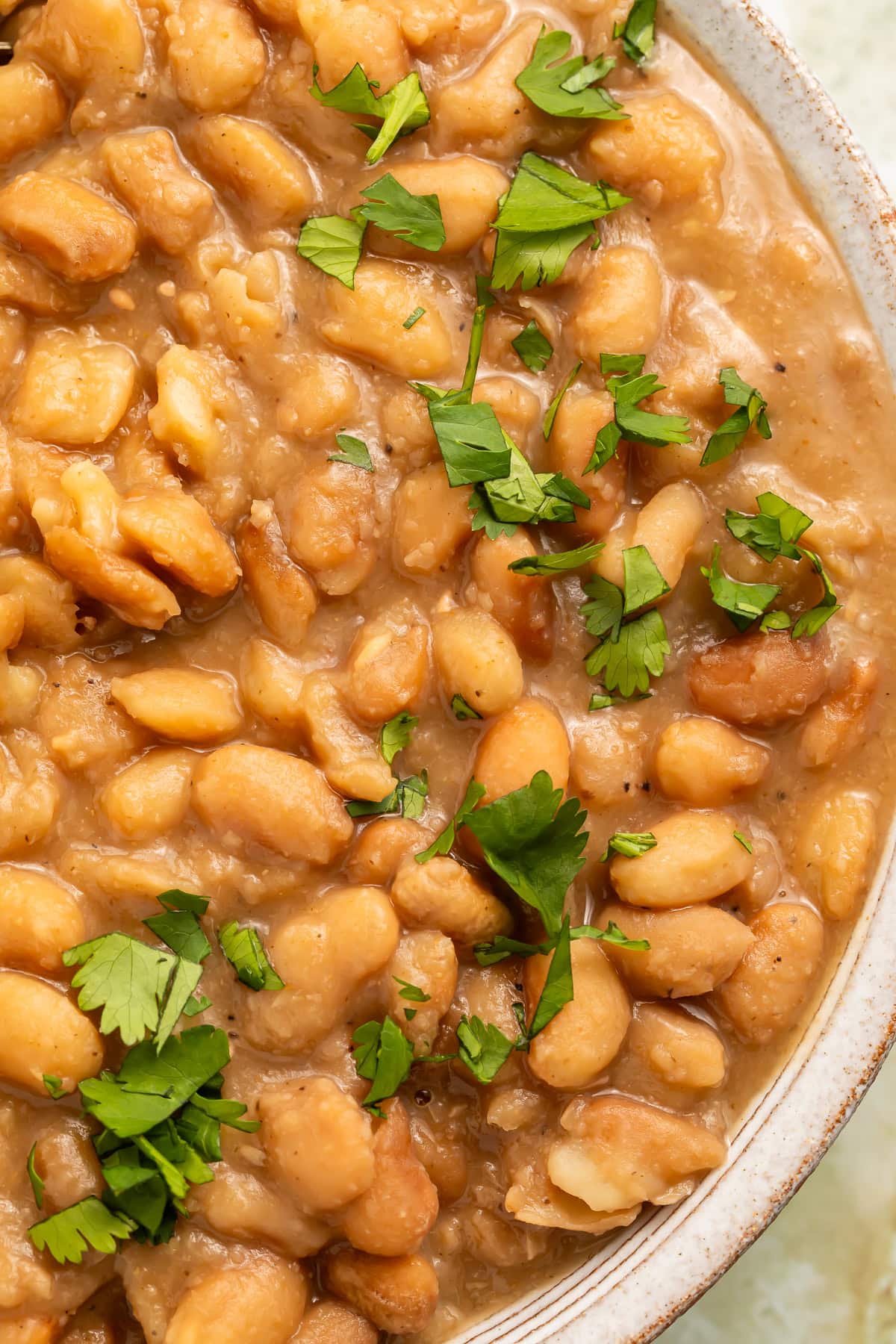 Close up of cooked pinto beans sprinkled with chopped cilantro.
