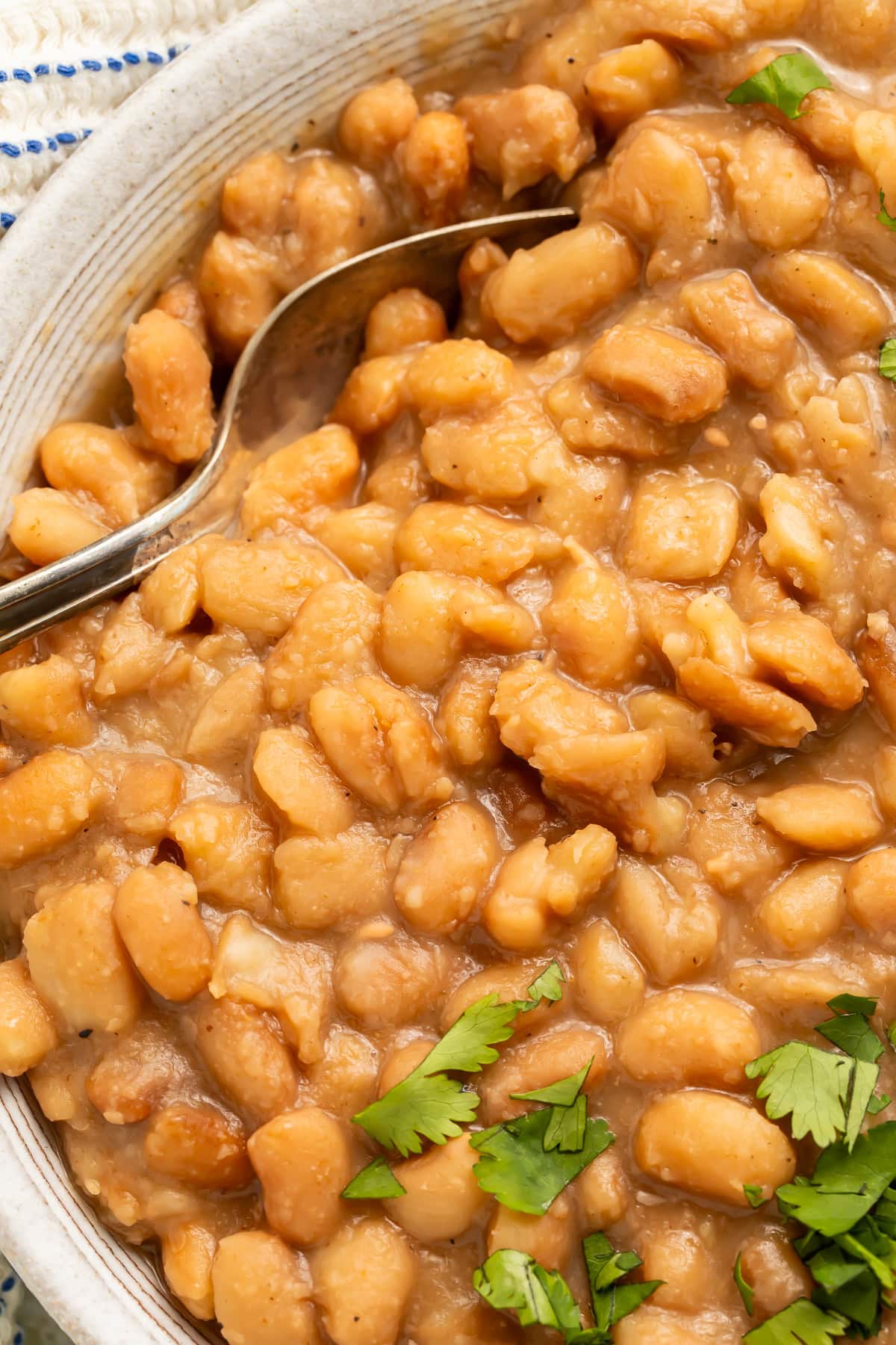 A spoon sitting in a close up bowl of cooked pinto beans.