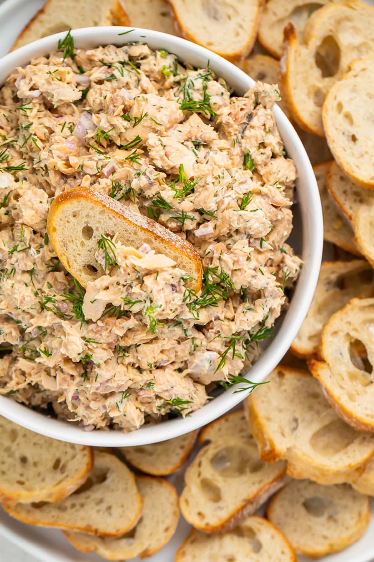 A bowl of canned salmon salad surrounded by crostini, with a slice of crostini in the dip.