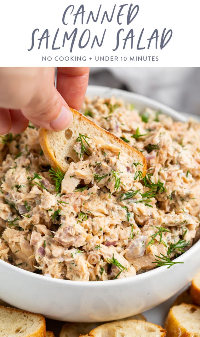 Canned Salmon Salad - 40 Aprons