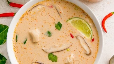 https://40aprons.com/wp-content/uploads/2020/08/crockpot-tom-kha-thai-coconut-soup-5-480x270.jpg