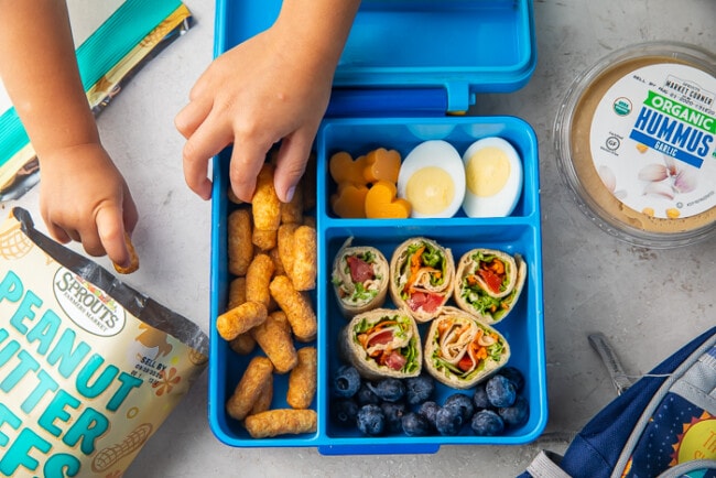 Easy Vegetarian Bento Box for Kids - 40 Aprons