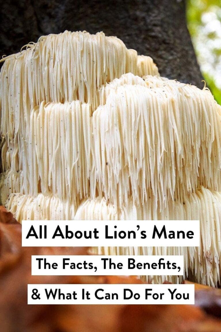All About Lion’s Mane & Its Benefits
