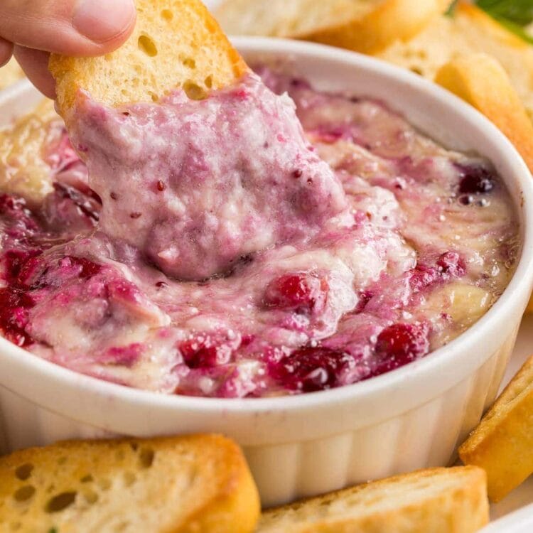 A piece of crostini being dipped into cranberry brie dip