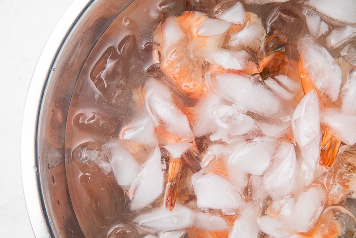 Ice bath of cooked shrimp