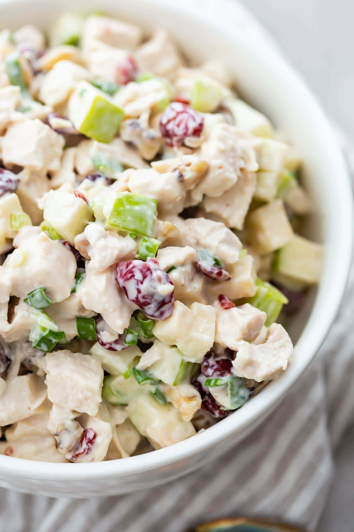 Top view of cranberry walnut chicken salad in white bowl.