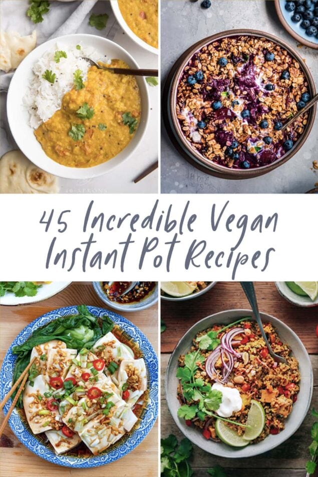 45 Incredible Vegan Instant Pot Recipes - 40 Aprons