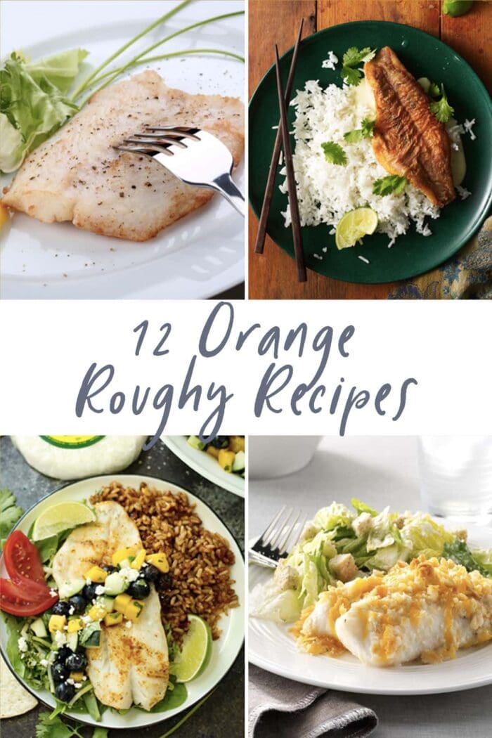 Graphic for 12 orange roughy recipes