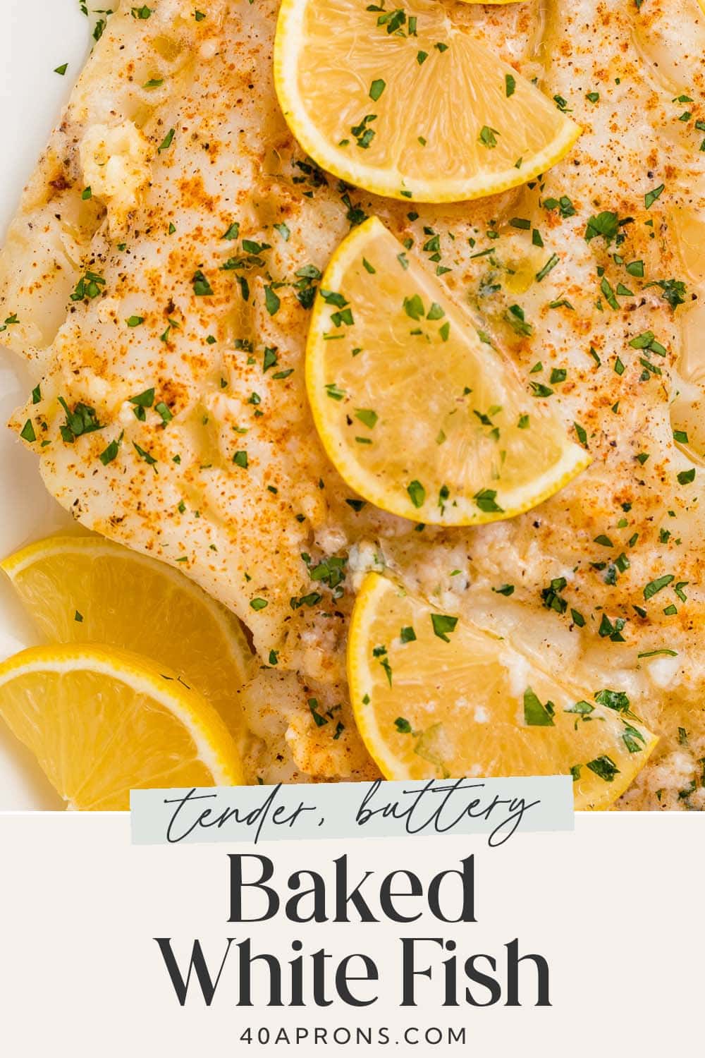 Pin graphic for baked fish.