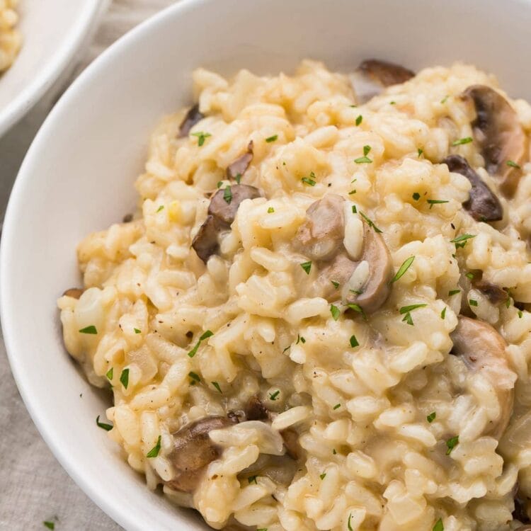 Partial view of a shallow white bowl of mushroom risotto
