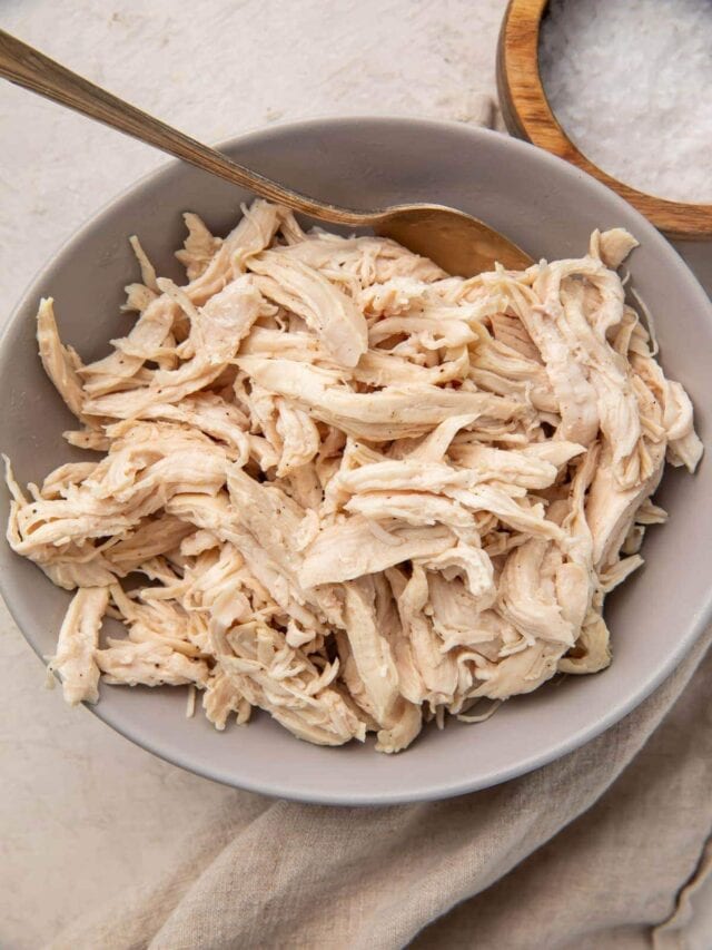 Shredded Chicken - 40 Aprons