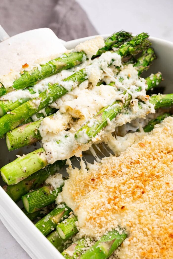 Asparagus casserole being scooped out of the baking dish with a spatula.
