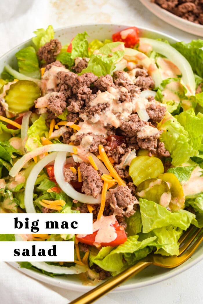 Pin graphic for big mac salad