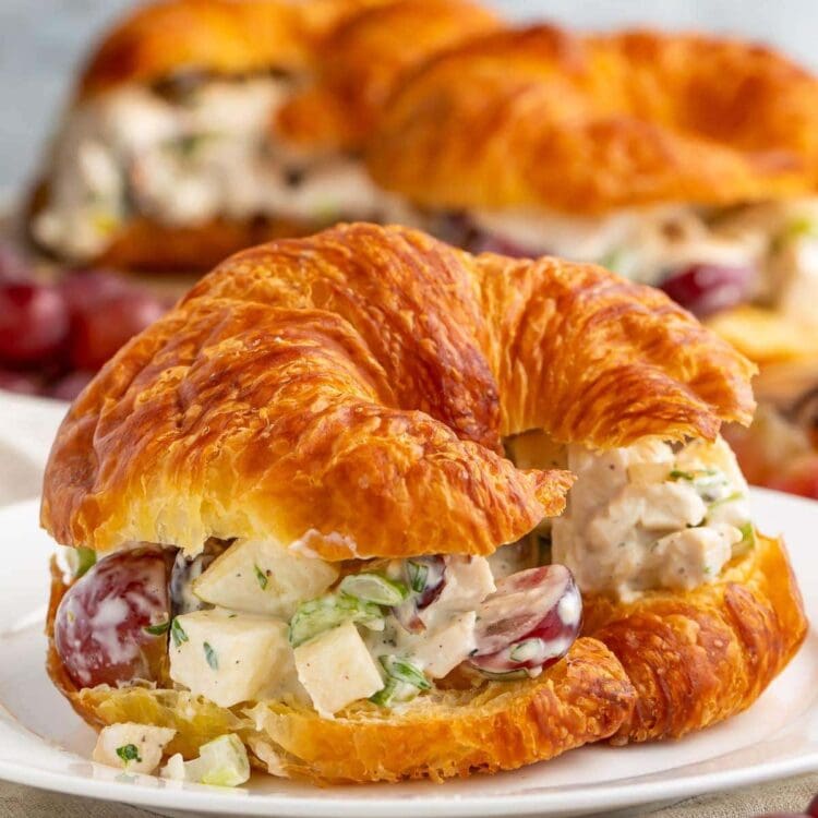 Chicken salad with grapes on a buttered croissant