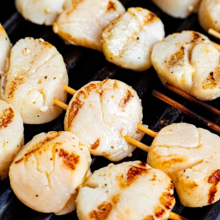 Close-up image of skewered scallops cooking on the grill.