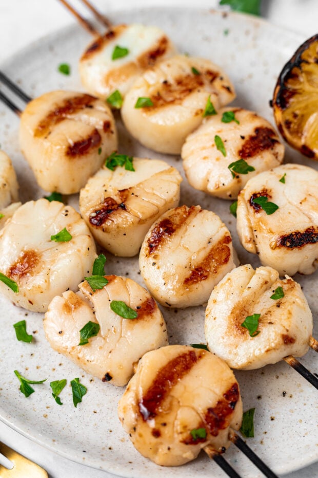 Grilled Scallops - 40 Aprons