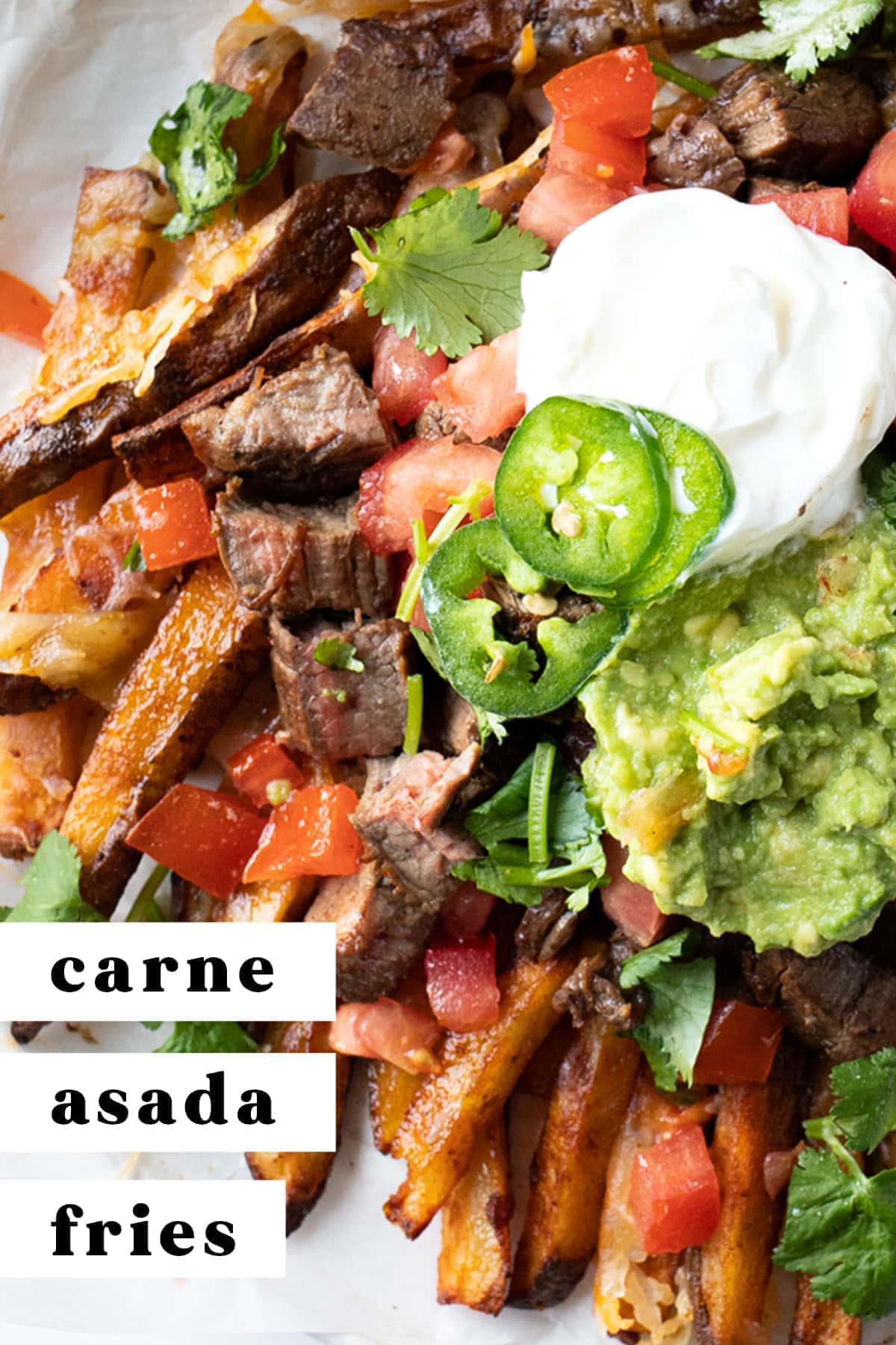 Carne Asada Fries (Loaded Fries with Steak) - 40 Aprons